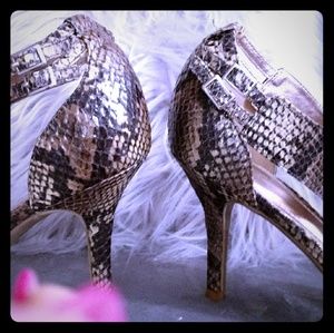 Snakeskin Print Shoe